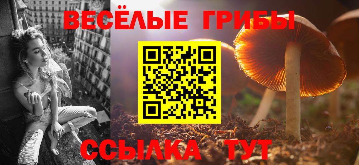 Галлюциногенные грибы Psilocybine cubensis  Вход с VPN  Комсомольск-на-Амуре  Псилоцибиновые грибы Psilocybine cubensis 
